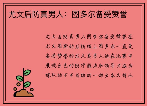 尤文后防真男人：图多尔备受赞誉